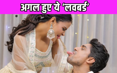 शादी की खबरों के बीच Priyanka Chahar Choudhary और Ankit Gupta का हुआ ब्रेकअप