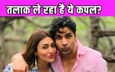 Divyanka Tripathi और Vivek Dahiya क्या ले रहे हैं तलाक, एक्टर ने तोड़ी चुप्पी