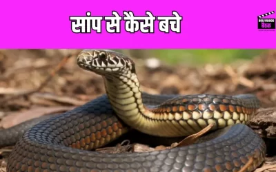 बारिश के मौसम में सांप से बचाएगा ये खूबसूरत पौधा, आप भी आज ही अपने घर पर लगवाए